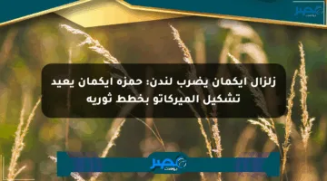 زلزال إيكمان يضرب لندن: حمزة إيكمان يعيد تشكيل الميركاتو بخطط ثورية